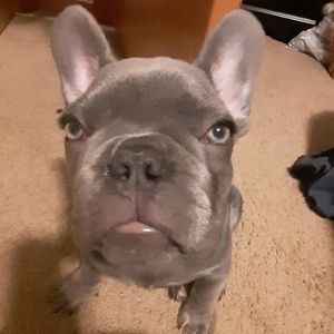 Meet your Posher, Nevaeh